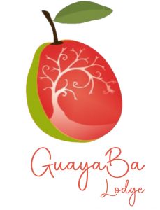 guayaba